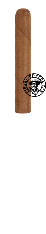 El Santor Robusto